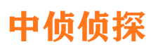 沙坪坝市婚姻出轨调查